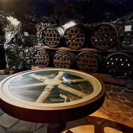 Loros Icod De Vinos By Hrtenerife Net *