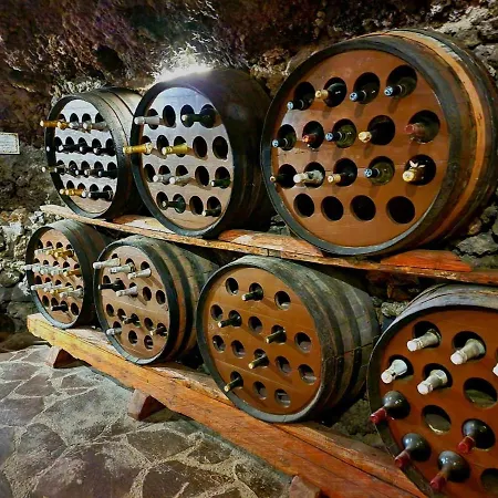 Villa Loros Icod De Vinos By Hrtenerife Net *